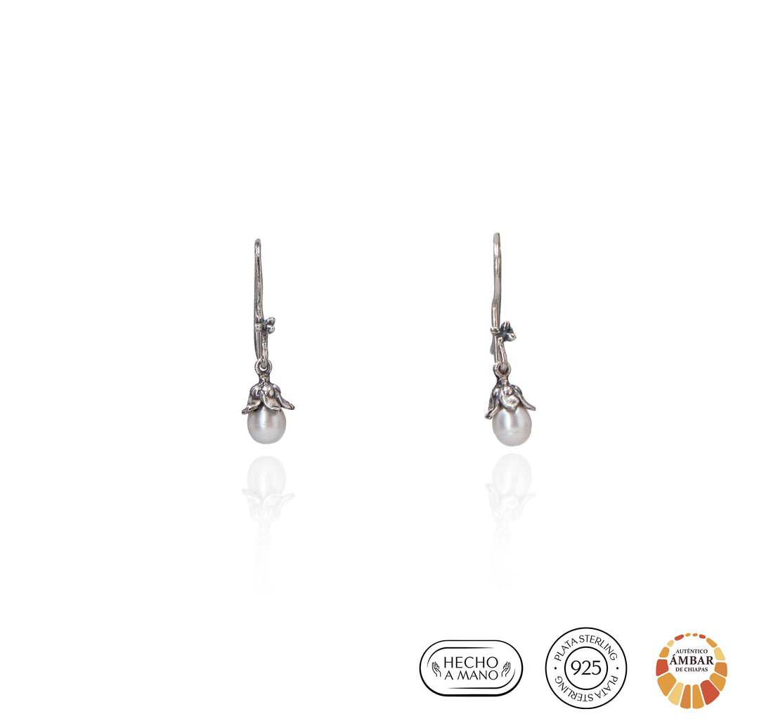 Aretes Hoja de Fruto