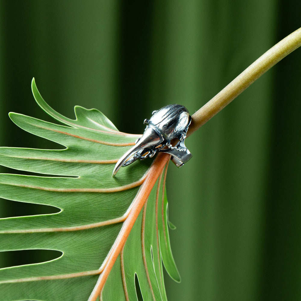 Hercules scarab ring