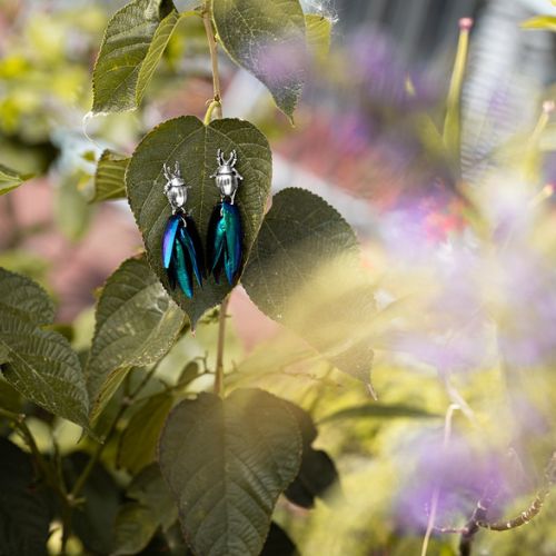 Aretes Escarabajo Pluma