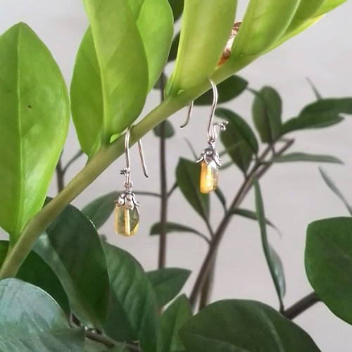 Aretes Fruto