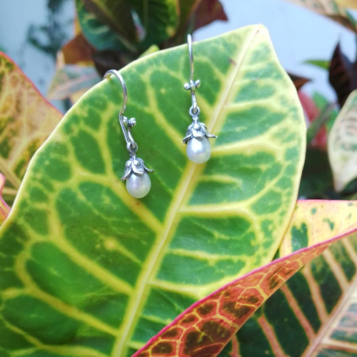 Aretes Hoja de Fruto