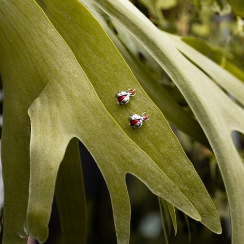 Aretes catarinas de coral