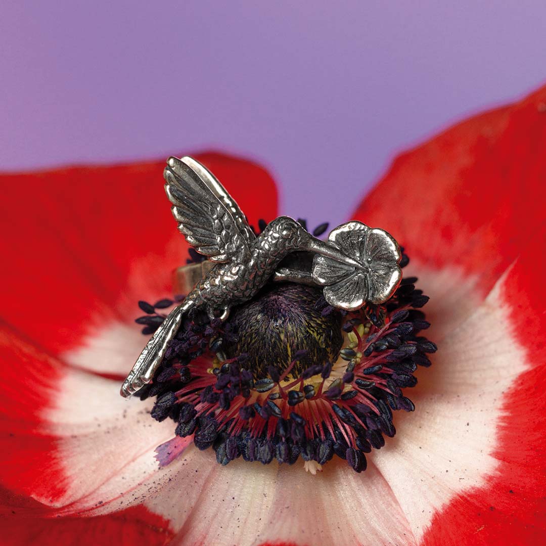 Anillo Zumbador