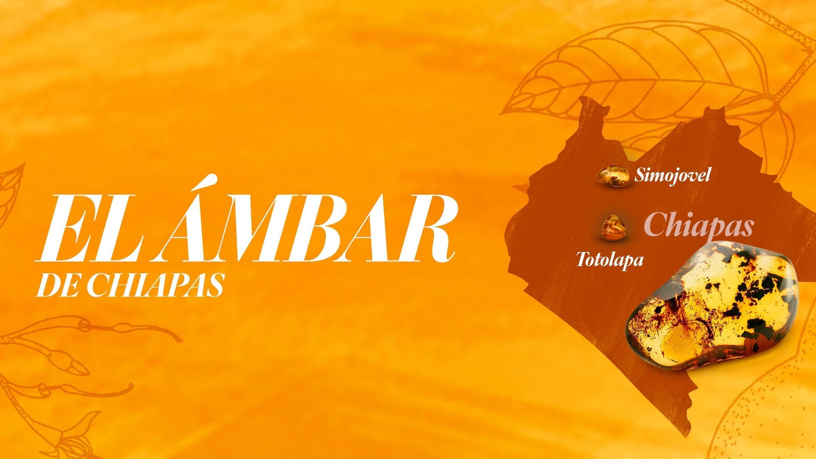 EL ÁMBAR DE CHIAPAS