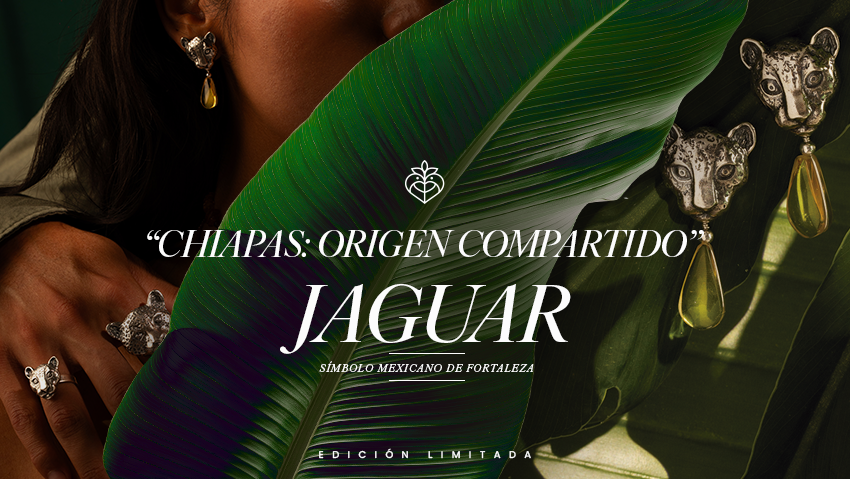 Chiapas: Origen compartido