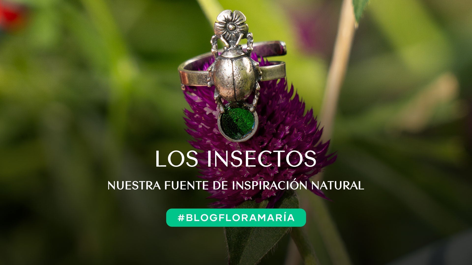 Los Insectos: Nuestra fuente de inspiración natural