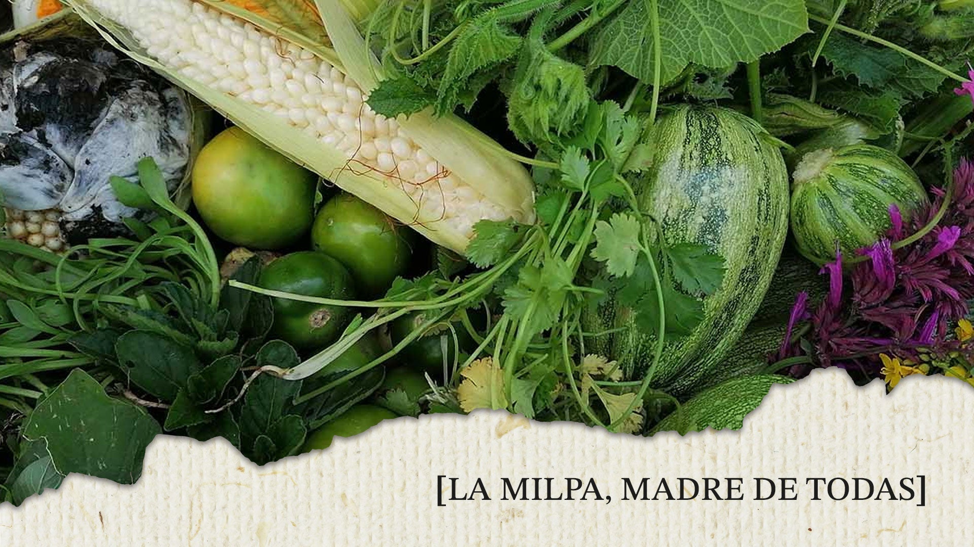LA MILPA, MADRE DE TODAS
