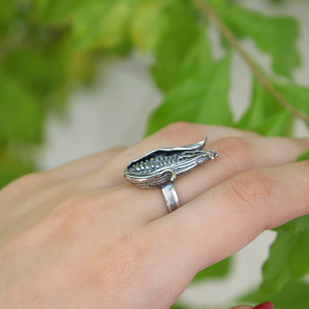 Anillo Mazorca