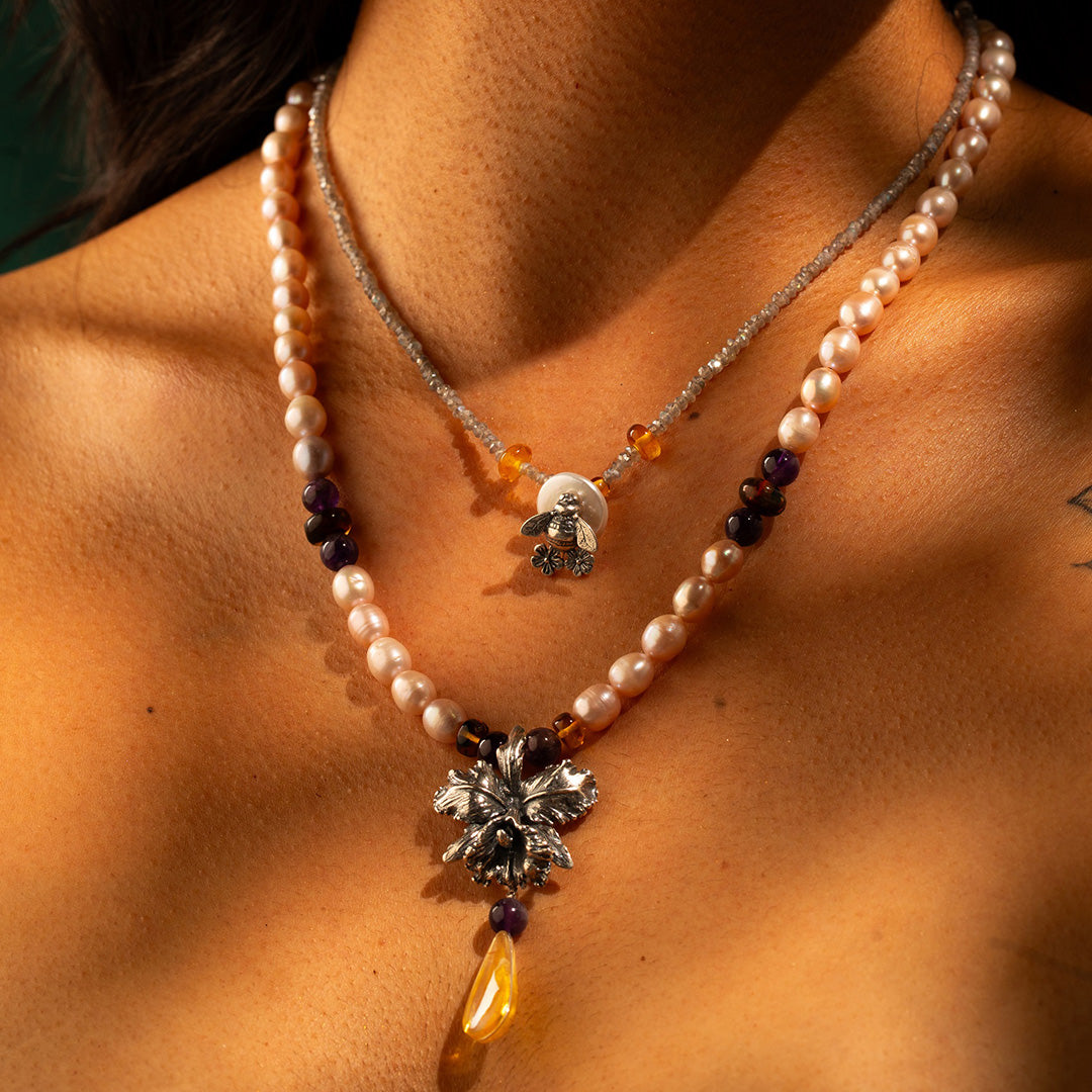 Collar Cattleya