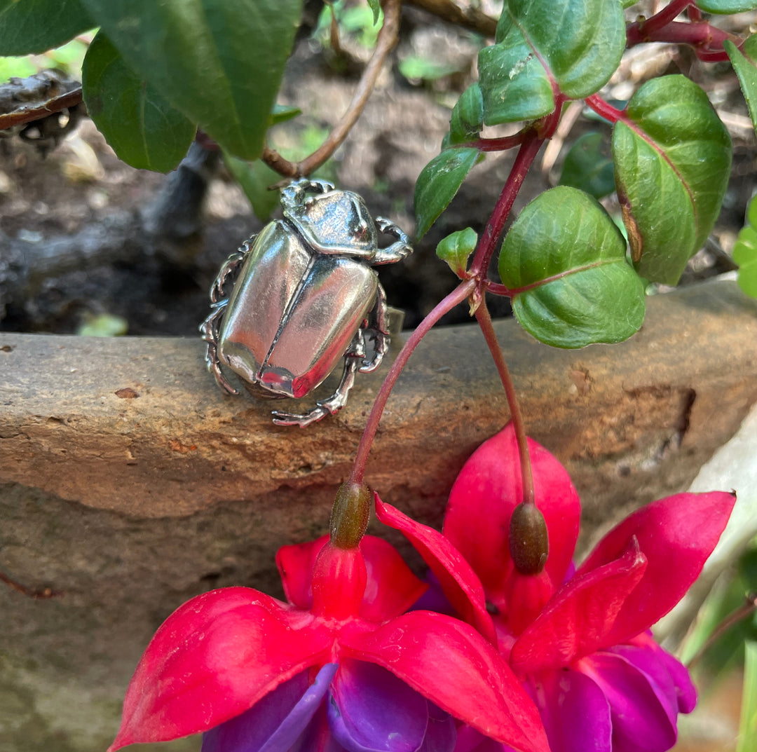 Anillo Escarabajo