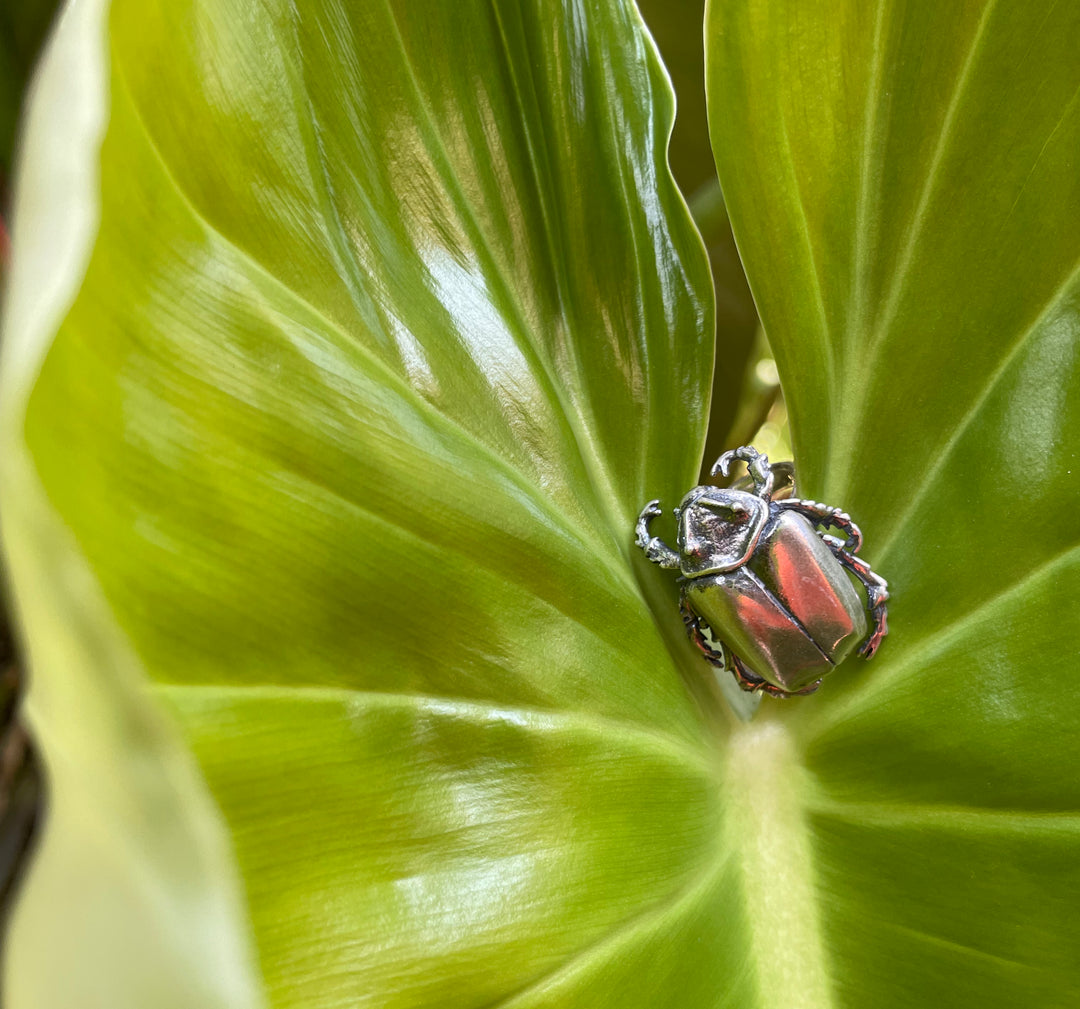 Anillo Escarabajo