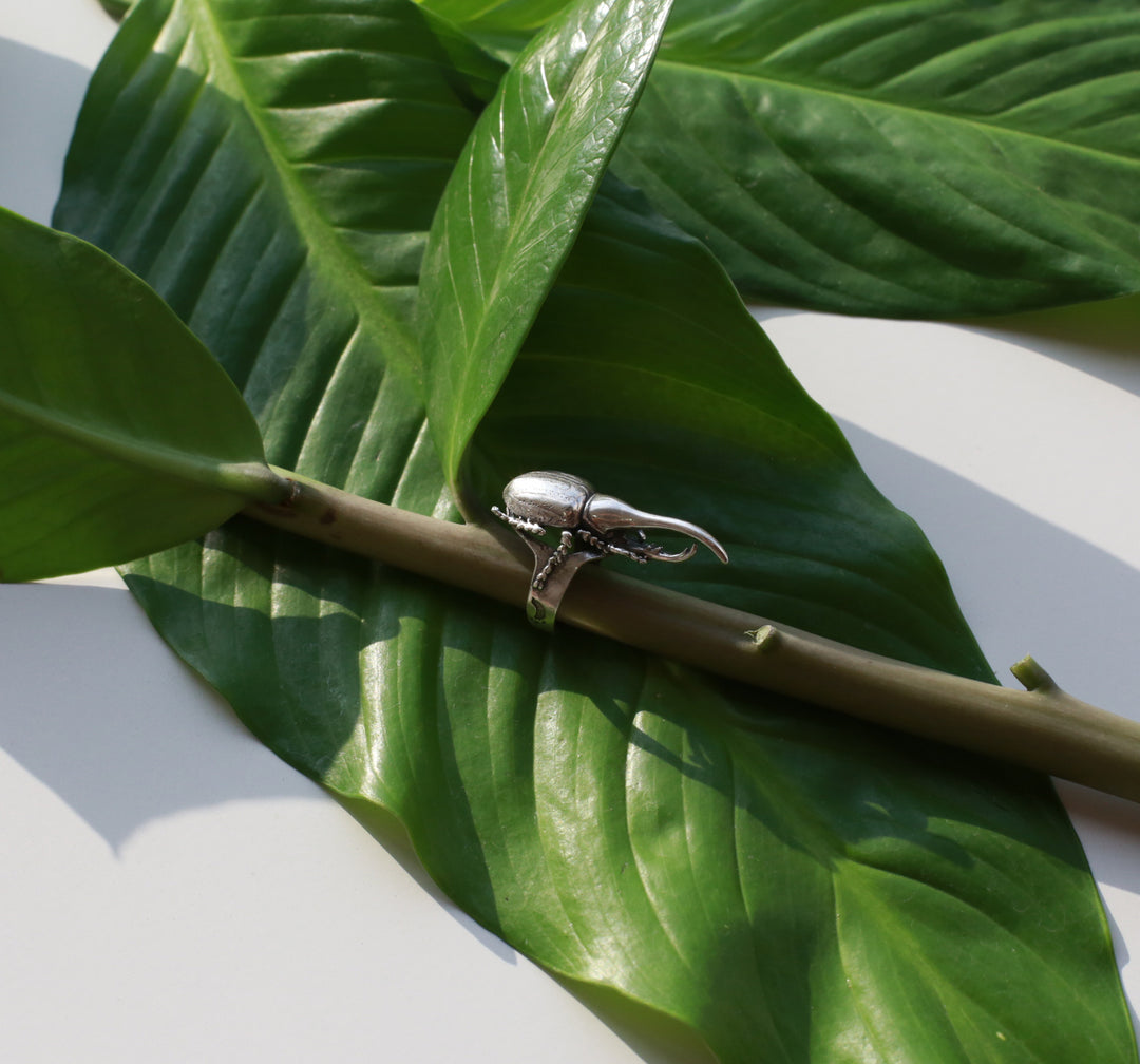 Anillo escarabajo hércules