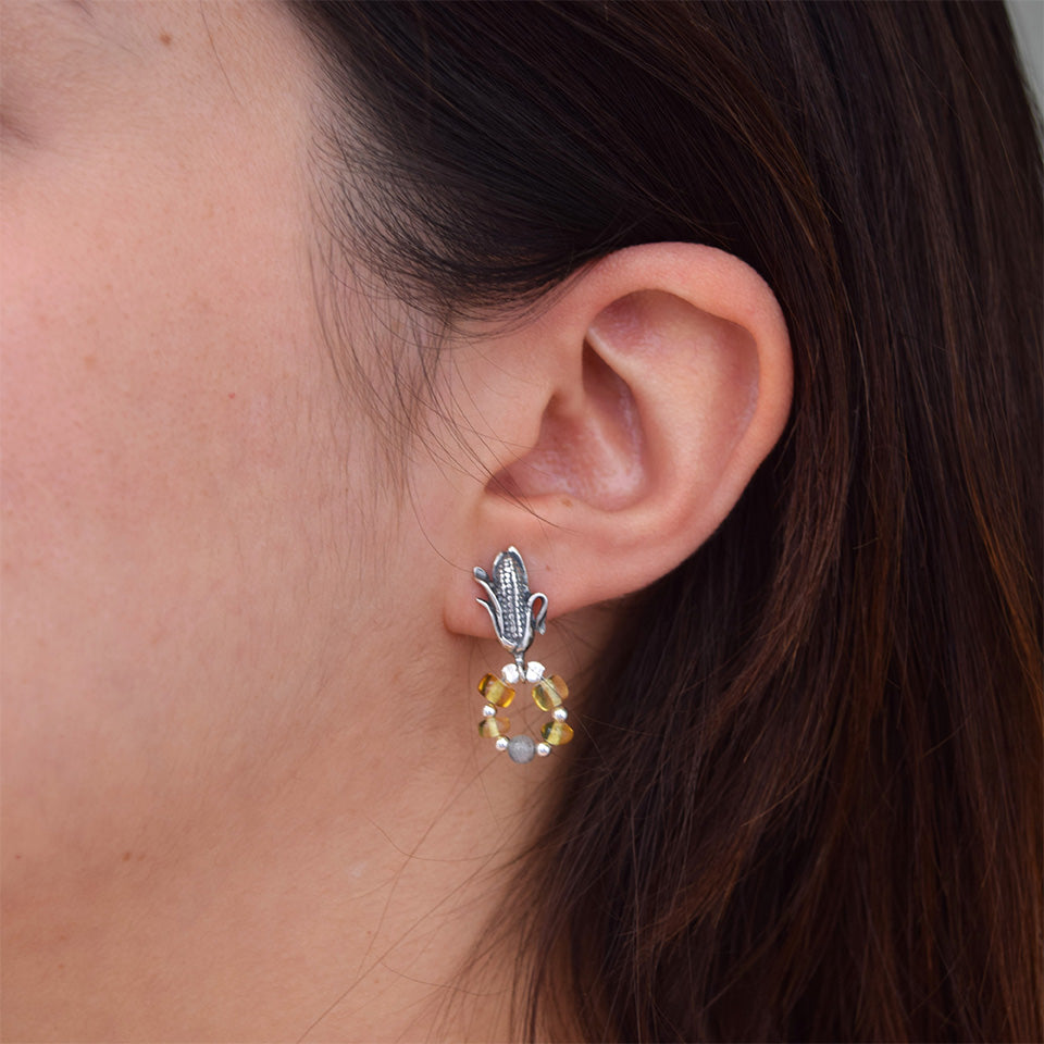 Arete Maíz Solar