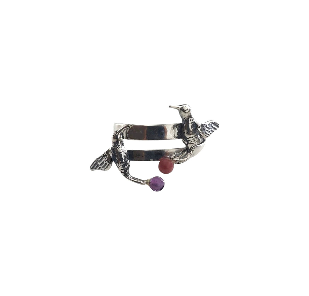 Anillo dos picaflor