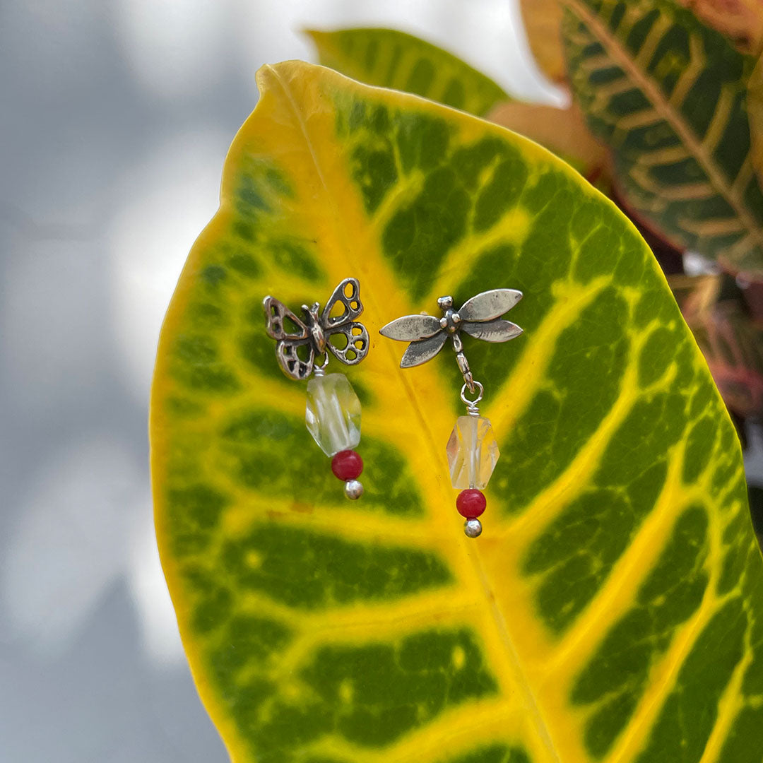 Arete Mariposa y Libélula