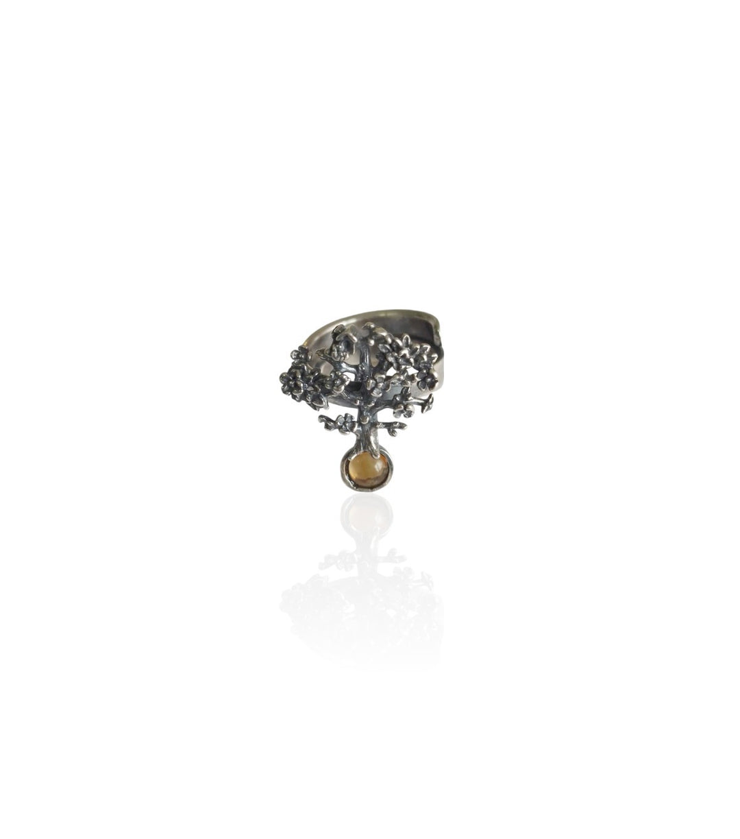 Anillo árbol bisel