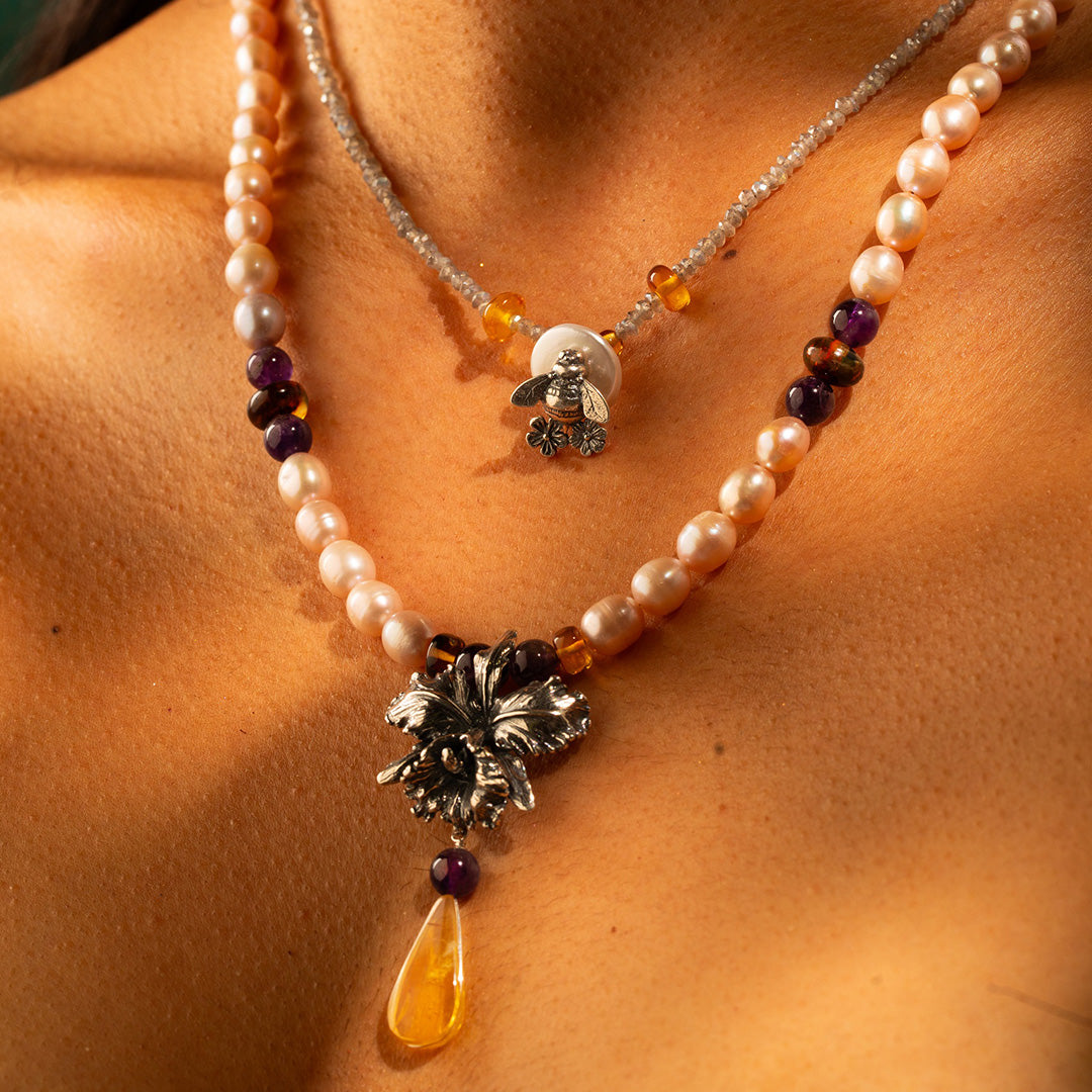 Collar Cattleya