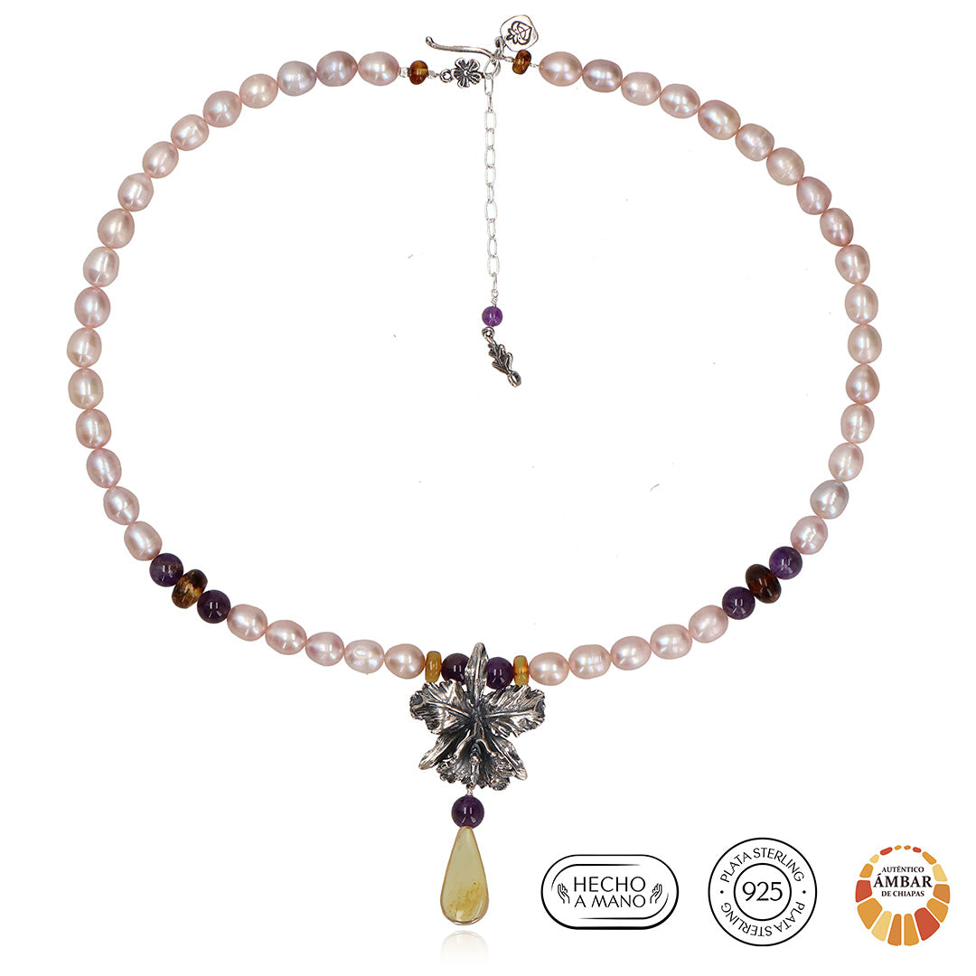 Collar Cattleya