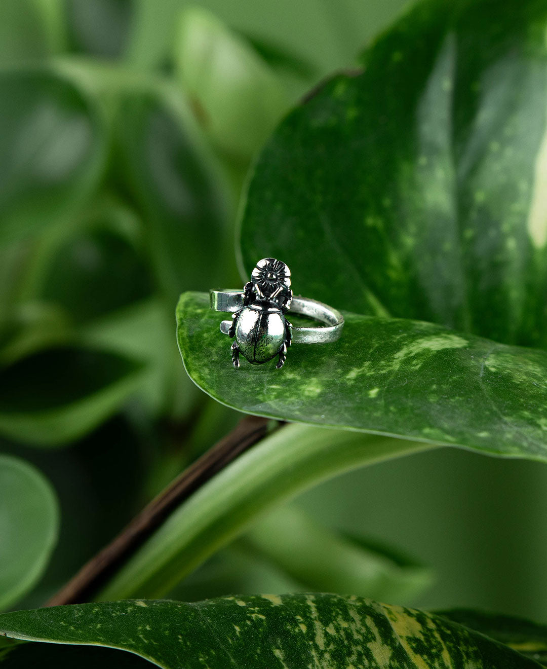 Chubby Beetle Ring