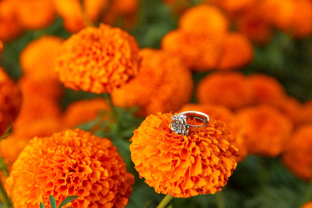 Cempasuchil ring