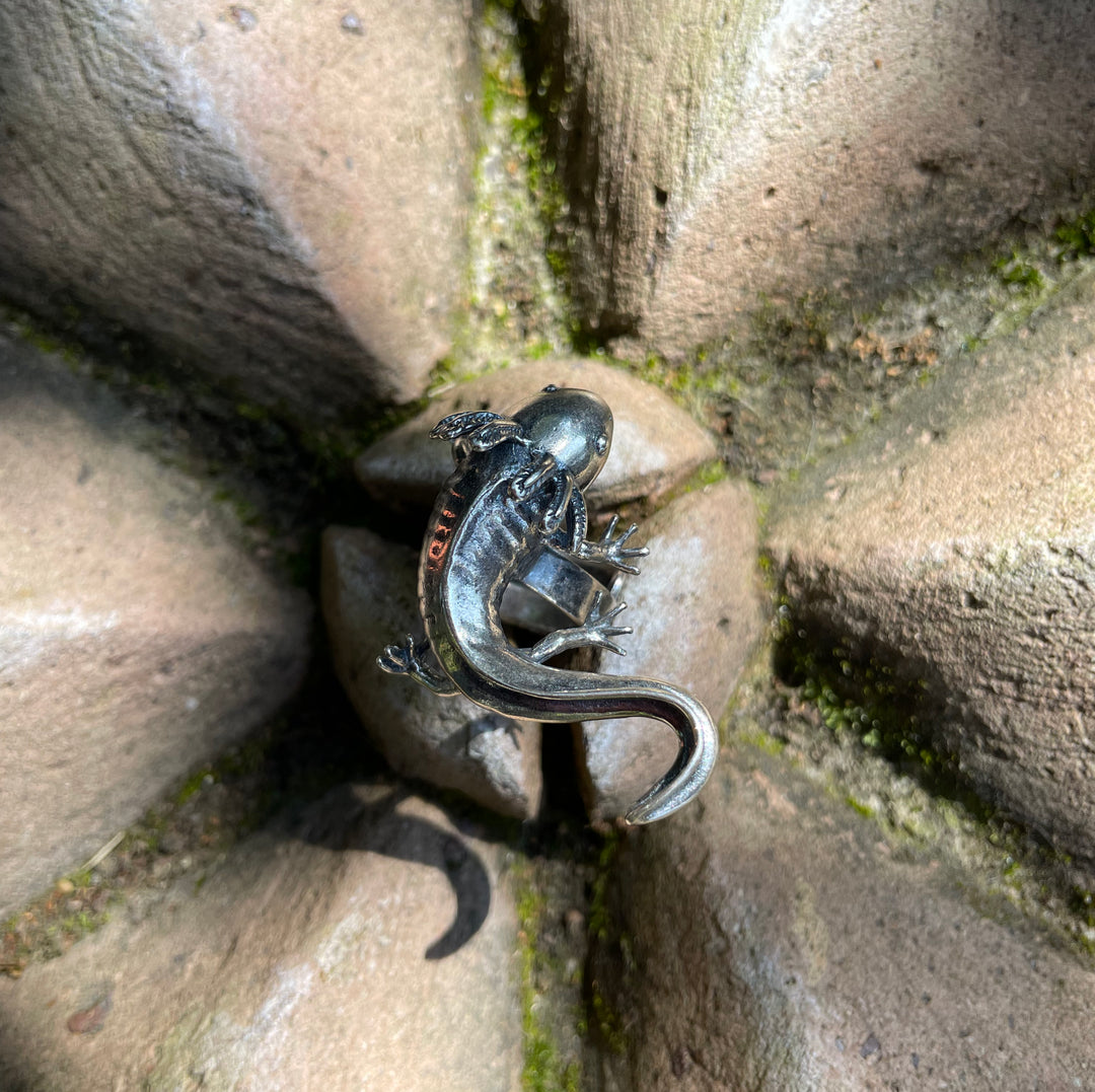 Anillo Ajolote grande