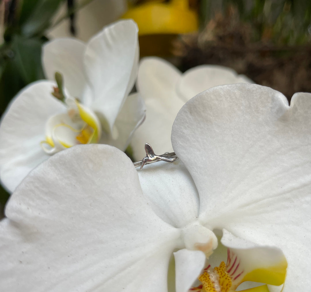 Anillo Mini Colibrí Zunzuncito