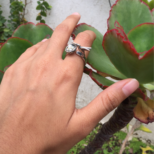 Hummingbird ring with nest
