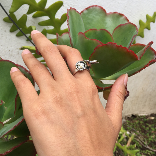 Hummingbird ring with nest