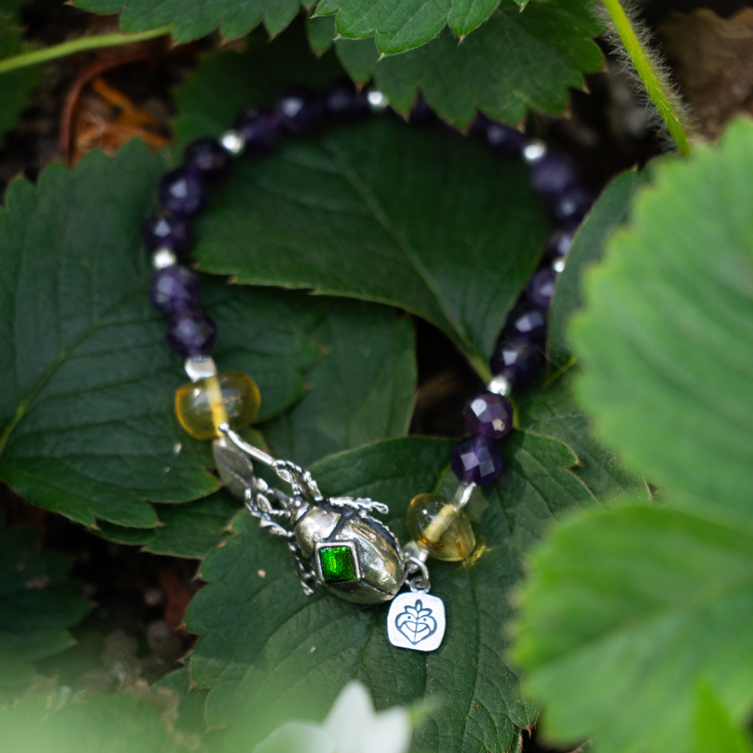 Pulsera escarabajo en camino de mutación