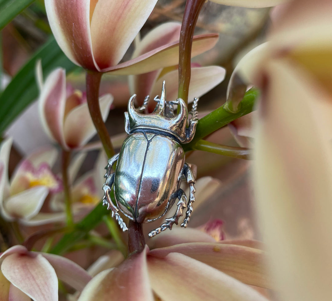 Anillo Escarabajo cuerno