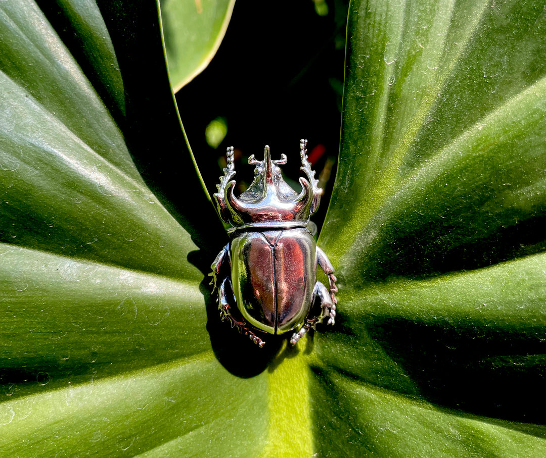 Anillo Escarabajo cuerno