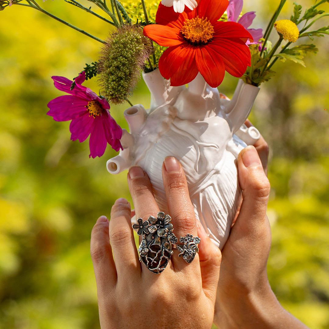 Anillo Expansión del Corazón