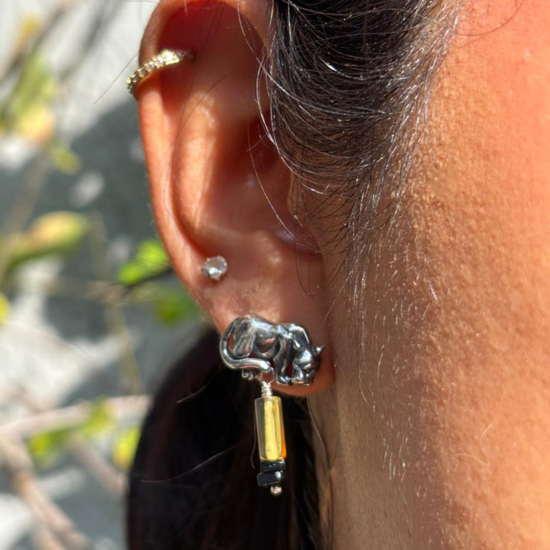 Aretes Fuerza Solar con jaguar
