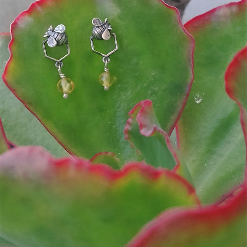 Aretes panal sencillo una cámara