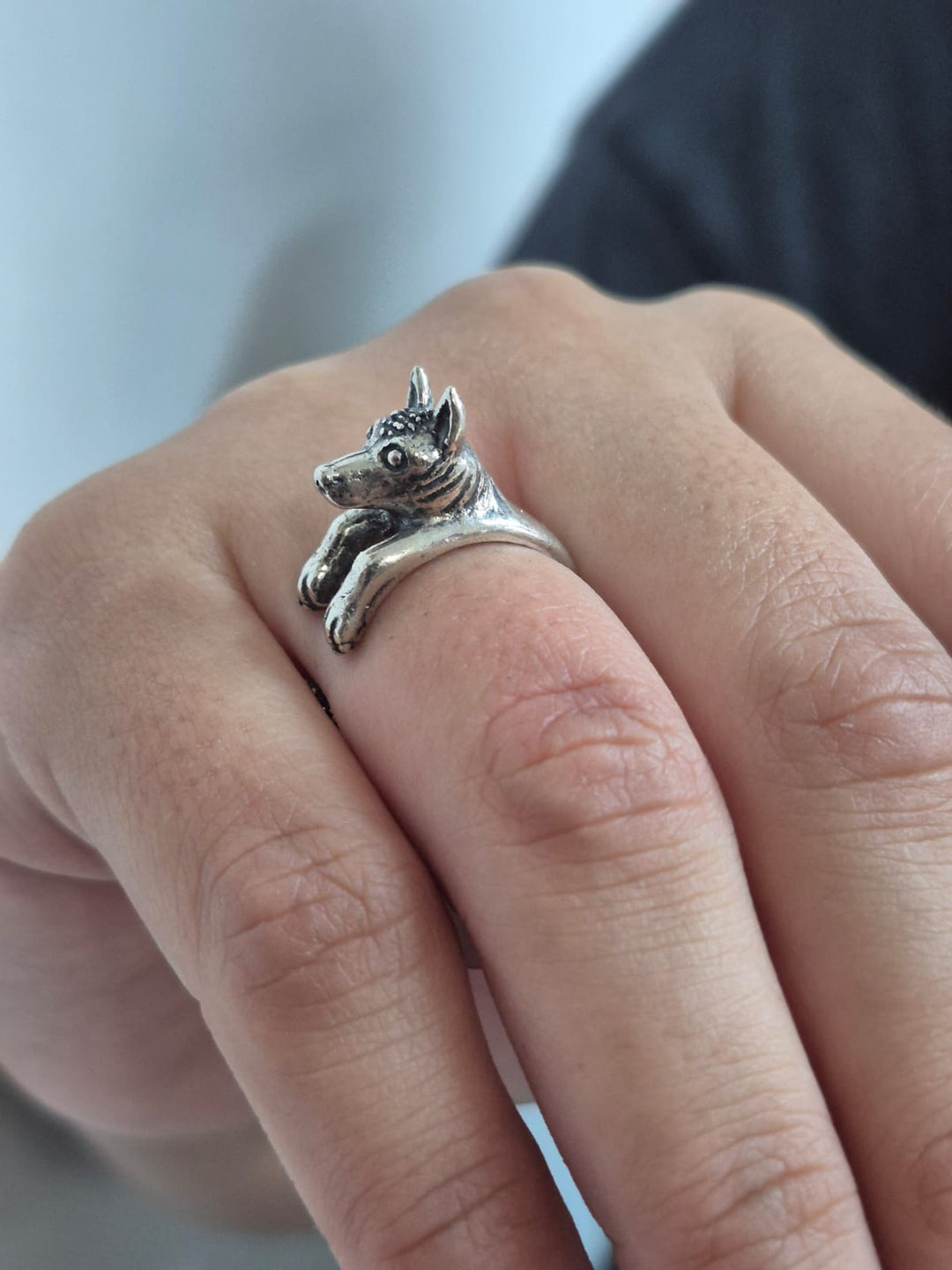 Xoloescuincle boy ring